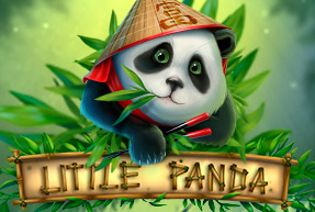 Little Panda