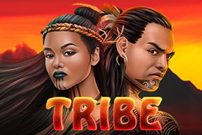 Tribe