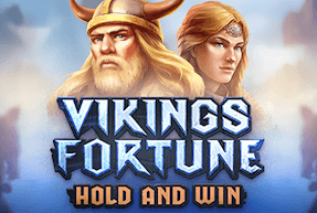 Viking's Fortune: Hold and Win