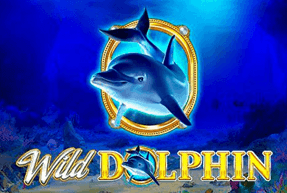 Wild Dolphin