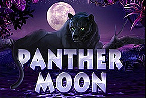 Panther Moon