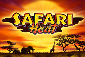 Safari Heat