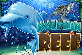 Dolphin Reef