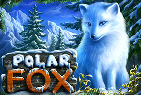 Polar Fox