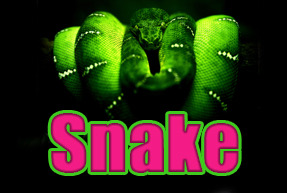 Snake