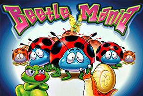 Beetle Mania